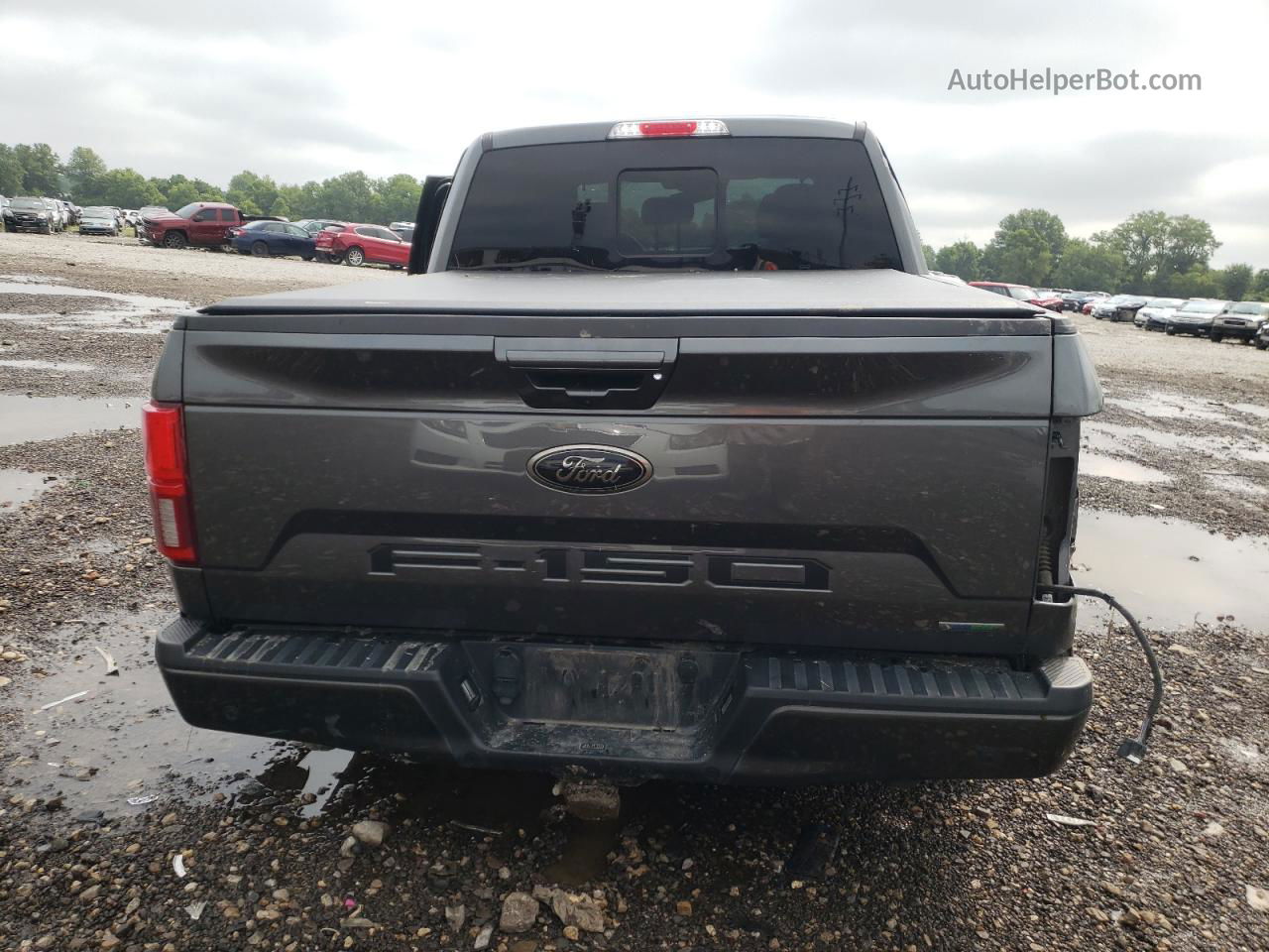 2020 Ford F150 Supercrew Gray vin: 1FTEW1EP6LFA11134