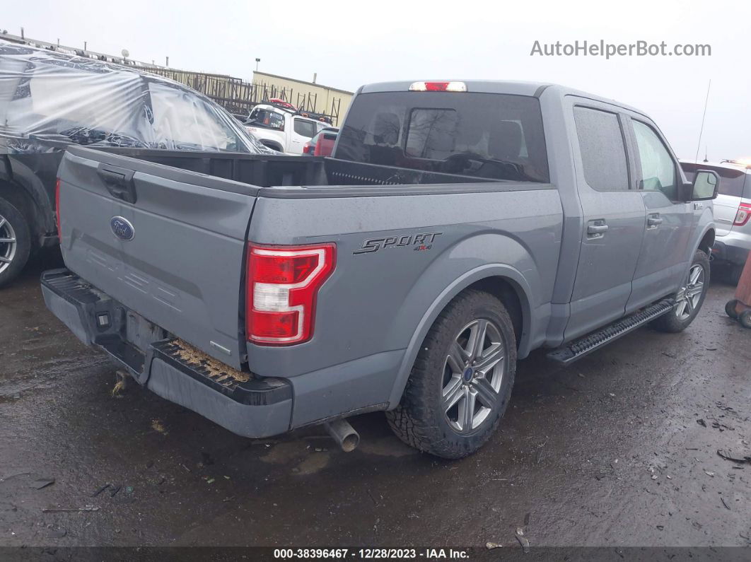 2019 Ford F-150 Xlt Gray vin: 1FTEW1EP9KFB80319