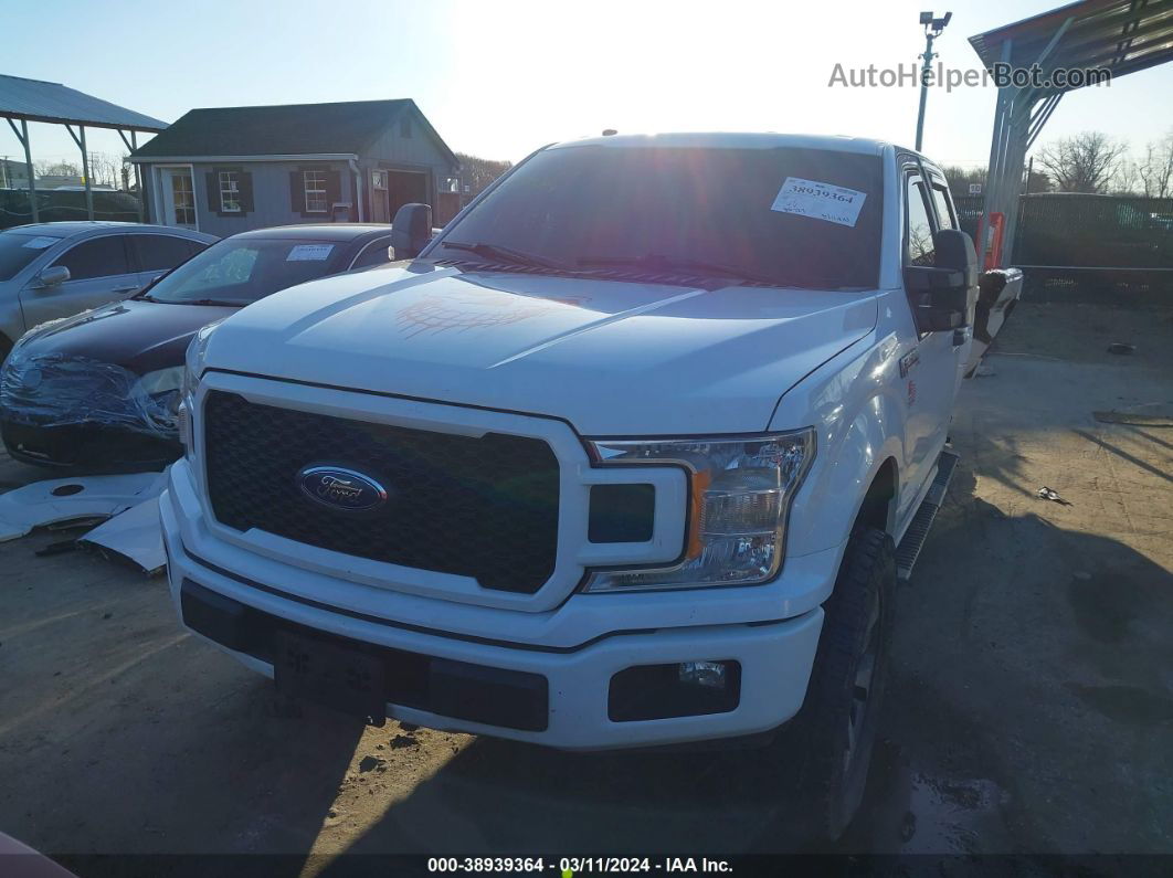 2019 Ford F-150 Xl White vin: 1FTEW1EP9KFC00360