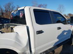 2019 Ford F-150 Xl White vin: 1FTEW1EP9KFC00360