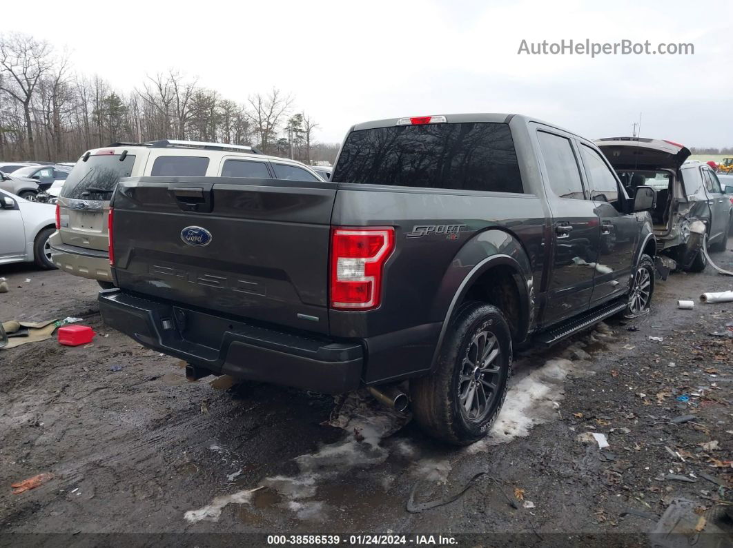 2018 Ford F-150 Xlt Gray vin: 1FTEW1EPXJFC61165