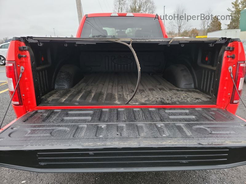 2019 Ford F-150 Xl vin: 1FTEX1C42KKD58939