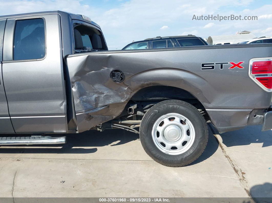 2010 Ford F-150 Xl/stx/xlt/fx2 Sport Gray vin: 1FTEX1C80AFD08292