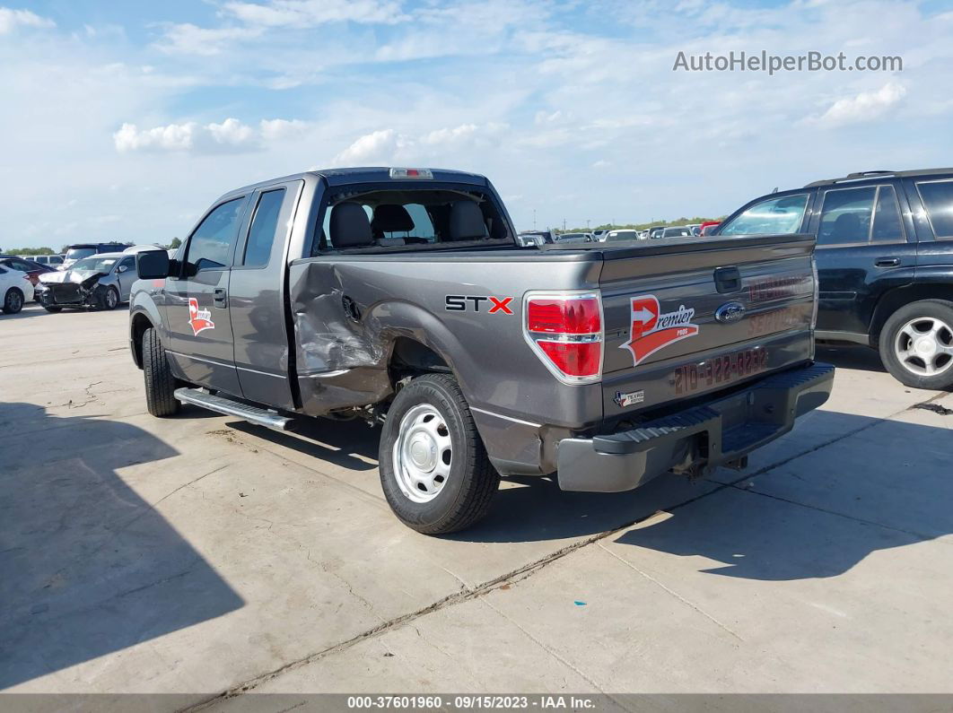 2010 Ford F-150 Xl/stx/xlt/fx2 Sport Gray vin: 1FTEX1C80AFD08292