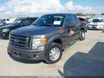 2010 Ford F-150 Xl/stx/xlt/fx2 Sport Gray vin: 1FTEX1C80AFD08292