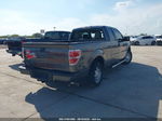 2010 Ford F-150 Xl/stx/xlt/fx2 Sport Gray vin: 1FTEX1C80AFD08292