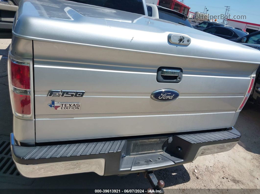 2010 Ford F-150 Xlt Silver vin: 1FTEX1C82AFB18395