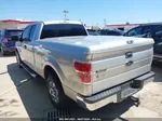 2010 Ford F-150 Xlt Silver vin: 1FTEX1C82AFB18395