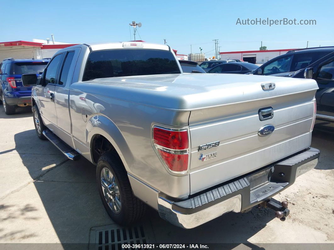 2010 Ford F-150 Xlt Silver vin: 1FTEX1C82AFB18395