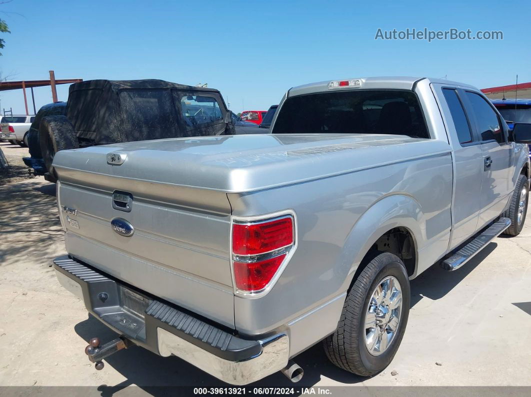 2010 Ford F-150 Xlt Silver vin: 1FTEX1C82AFB18395