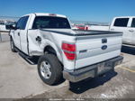 2010 Ford F-150   White vin: 1FTEX1C82AFB46388