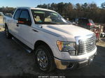 2010 Ford F-150 Stx/xl/xlt White vin: 1FTEX1C82AFD38958