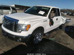 2010 Ford F-150 Stx/xl/xlt White vin: 1FTEX1C82AFD38958