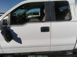 2010 Ford F-150 Stx/xl/xlt White vin: 1FTEX1C82AFD38958