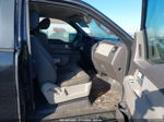 2010 Ford F-150 Stx/xl/xlt Черный vin: 1FTEX1C82AKA76396