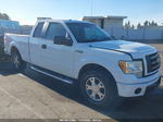 2010 Ford F-150 Stx/xl/xlt White vin: 1FTEX1C83AKE38008