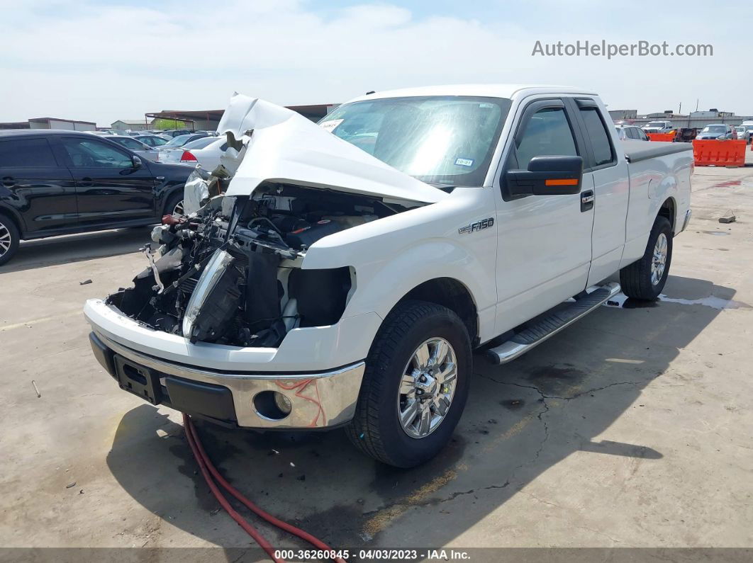 2010 Ford F-150 Xl/stx/xlt/fx2 Sport Белый vin: 1FTEX1C87AFA14324