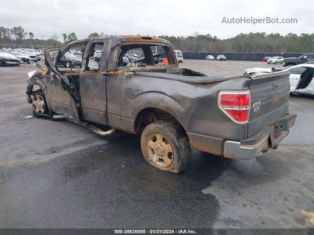 2010 Ford F-150 Stx/xl/xlt Gray vin: 1FTEX1C88AFA84544