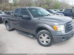 2010 Ford F-150 Stx/xl Gray vin: 1FTEX1CW9AFA85782