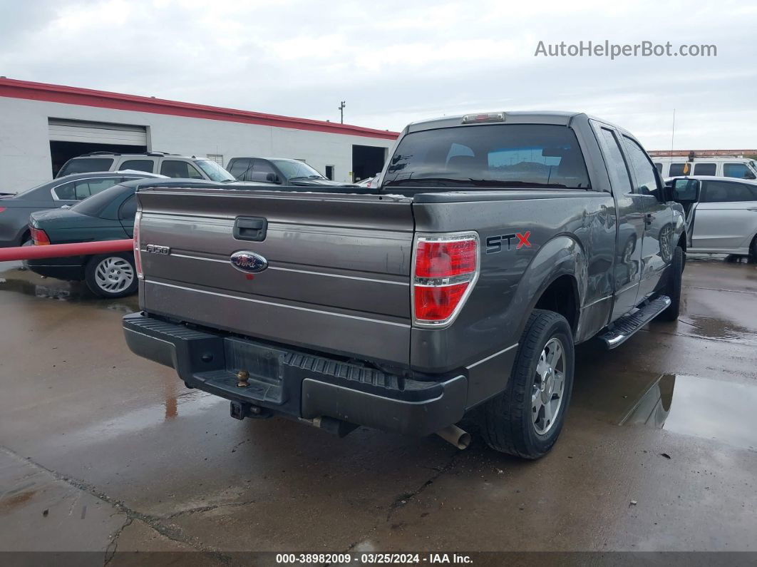 2010 Ford F-150 Stx/xl Gray vin: 1FTEX1CW9AFA85782