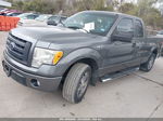 2010 Ford F-150 Stx/xl Gray vin: 1FTEX1CW9AFA85782