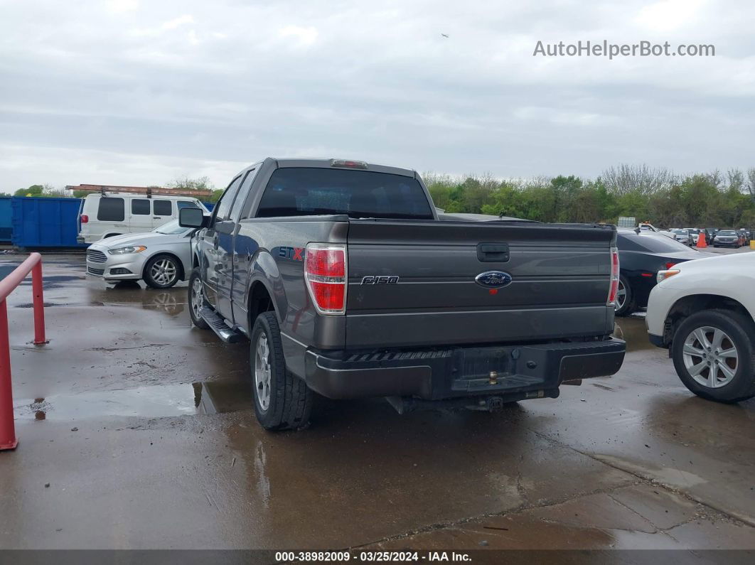 2010 Ford F-150 Stx/xl Gray vin: 1FTEX1CW9AFA85782