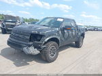 2010 Ford F-150 Svt Raptor Black vin: 1FTEX1E66AFC75875