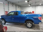 2010 Ford F-150 Stx/xl/xlt Blue vin: 1FTEX1E81AKE37727