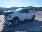 2010 Ford F-150 Stx/xl/xlt Белый vin: 1FTEX1E82AKE71739