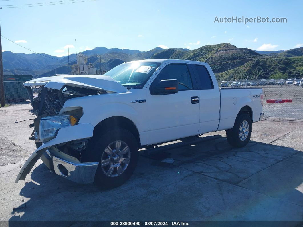 2010 Ford F-150 Stx/xl/xlt White vin: 1FTEX1E82AKE71739