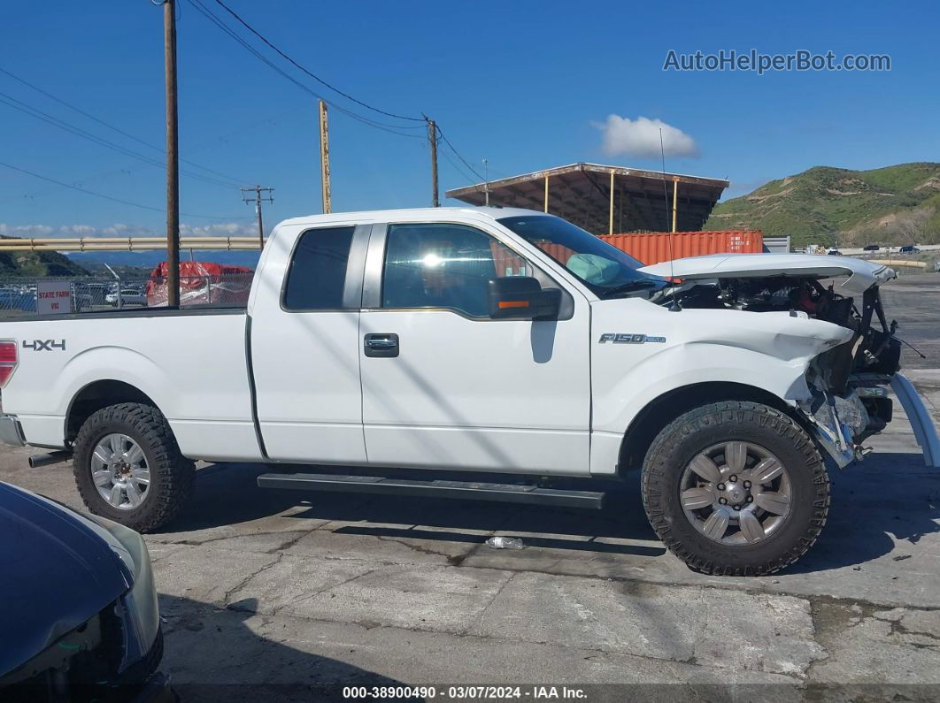 2010 Ford F-150 Stx/xl/xlt White vin: 1FTEX1E82AKE71739