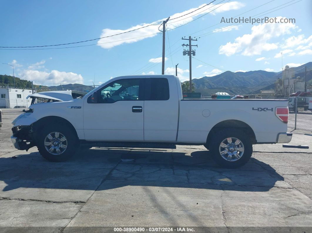 2010 Ford F-150 Stx/xl/xlt Белый vin: 1FTEX1E82AKE71739