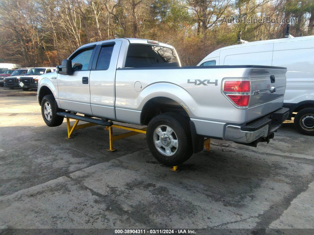 2010 Ford F-150 Stx/xl/xlt Серый vin: 1FTEX1E83AFC99813