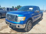 2010 Ford F-150 Stx/xl/xlt Blue vin: 1FTEX1E85AFC97190