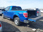 2010 Ford F-150 Stx/xl/xlt Blue vin: 1FTEX1E87AFB63782