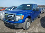 2010 Ford F-150 Stx/xl/xlt Синий vin: 1FTEX1E87AFB63782