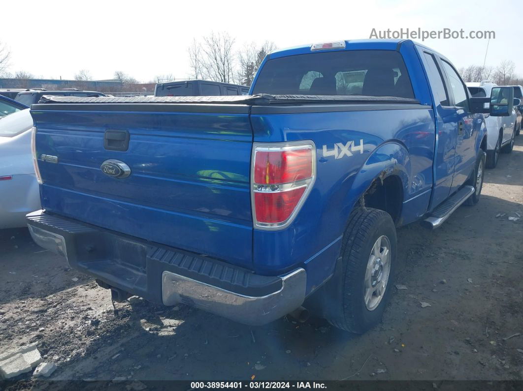 2010 Ford F-150 Stx/xl/xlt Blue vin: 1FTEX1E87AFB63782