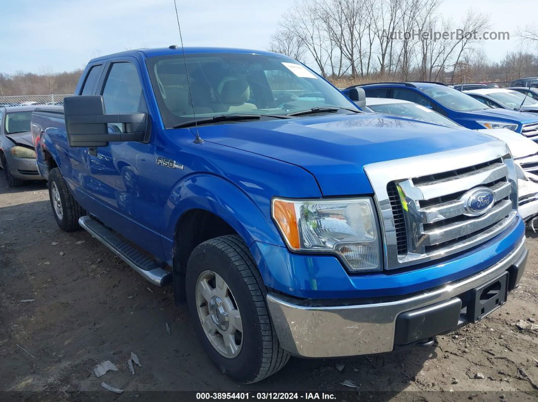 2010 Ford F-150 Stx/xl/xlt Blue vin: 1FTEX1E87AFB63782