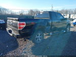 2010 Ford F-150 Stx Черный vin: 1FTEX1E88AFA06679