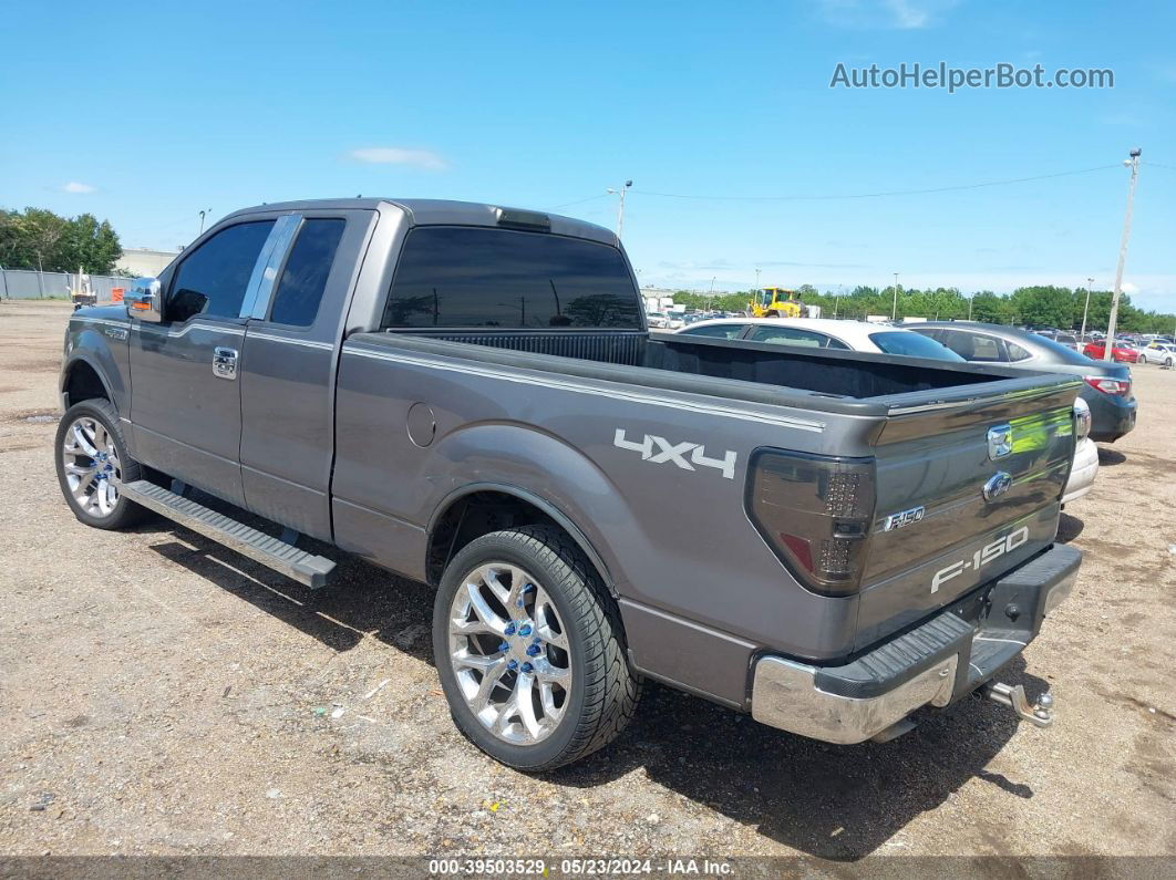 2010 Ford F-150 Stx/xl/xlt Gray vin: 1FTEX1E89AKE62553