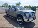 2010 Ford F-150 Stx/xl/xlt Gray vin: 1FTEX1E89AKE62553