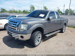 2010 Ford F-150 Stx/xl/xlt Gray vin: 1FTEX1E89AKE62553