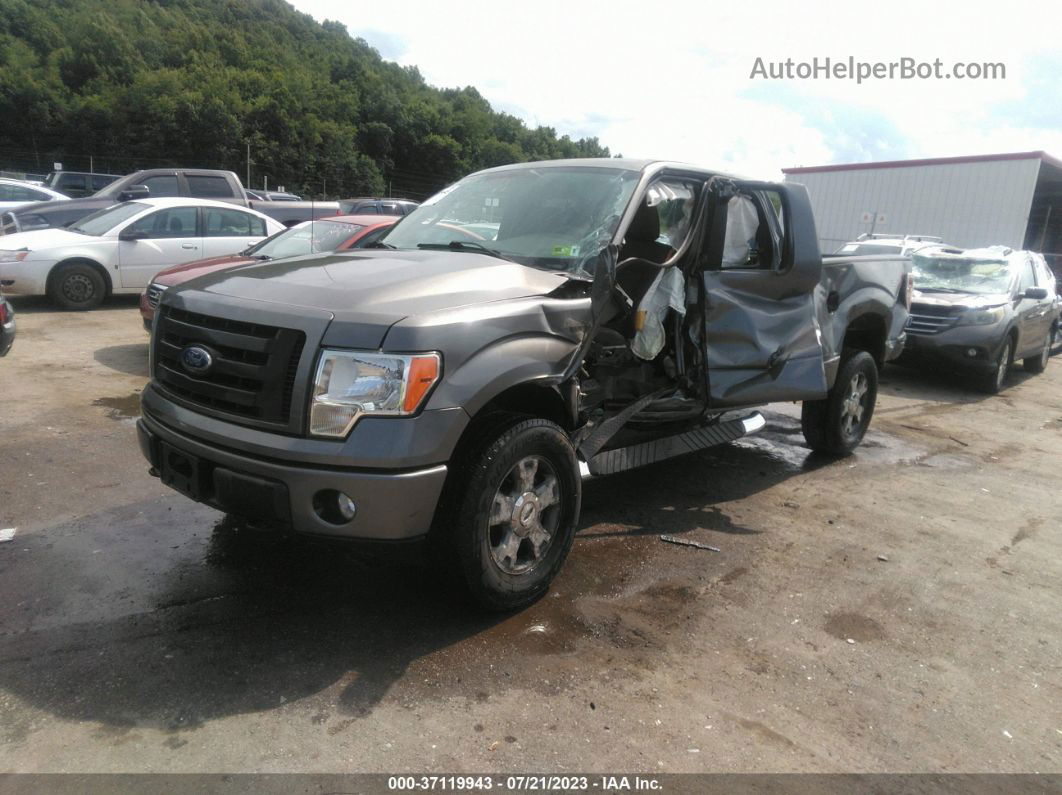 2010 Ford F-150 Stx Gray vin: 1FTEX1E8XAFA95946