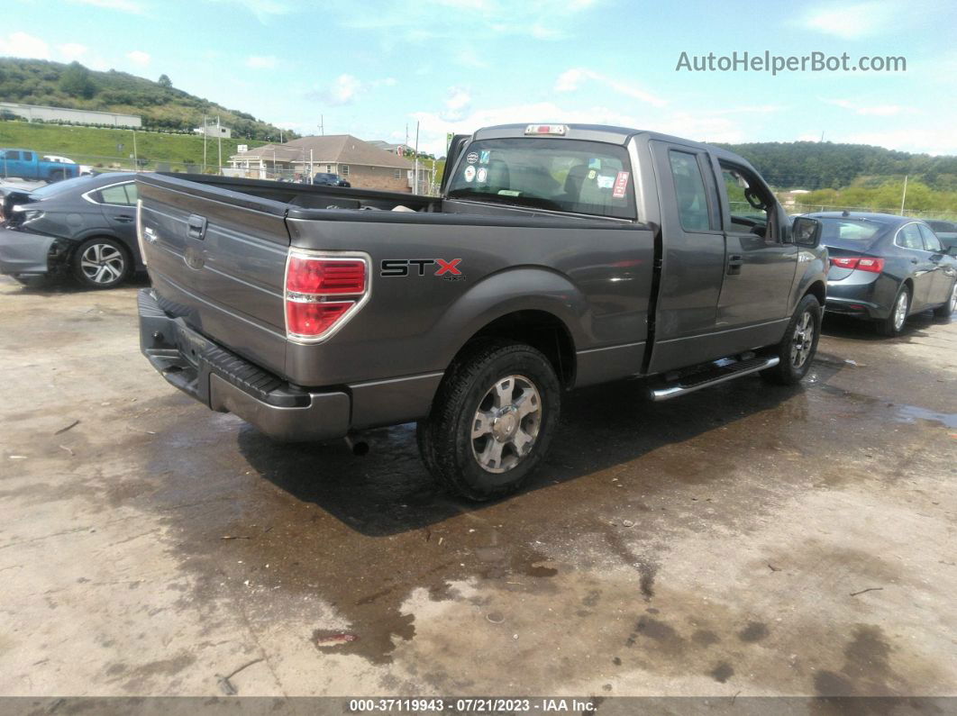 2010 Ford F-150 Stx Серый vin: 1FTEX1E8XAFA95946