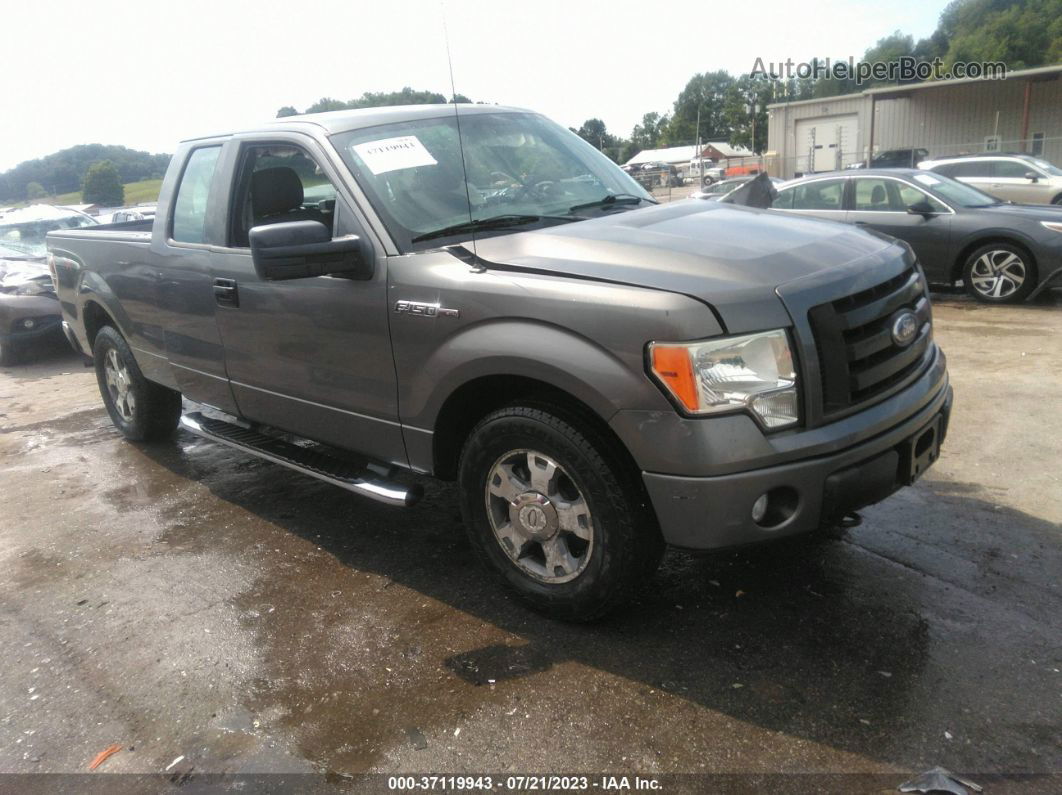 2010 Ford F-150 Stx Gray vin: 1FTEX1E8XAFA95946