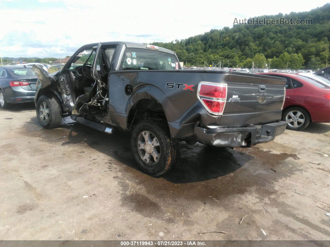 2010 Ford F-150 Stx Gray vin: 1FTEX1E8XAFA95946