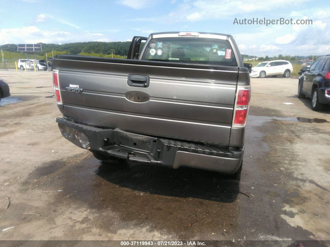 2010 Ford F-150 Stx Gray vin: 1FTEX1E8XAFA95946