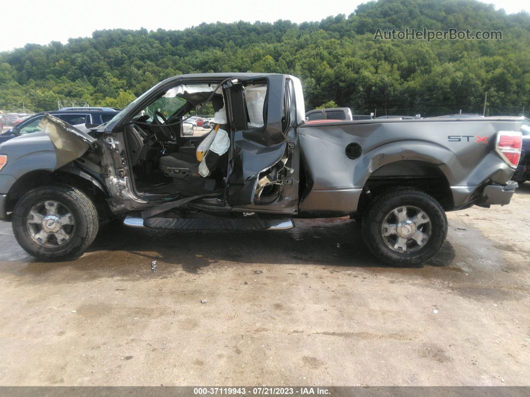 2010 Ford F-150 Stx Серый vin: 1FTEX1E8XAFA95946