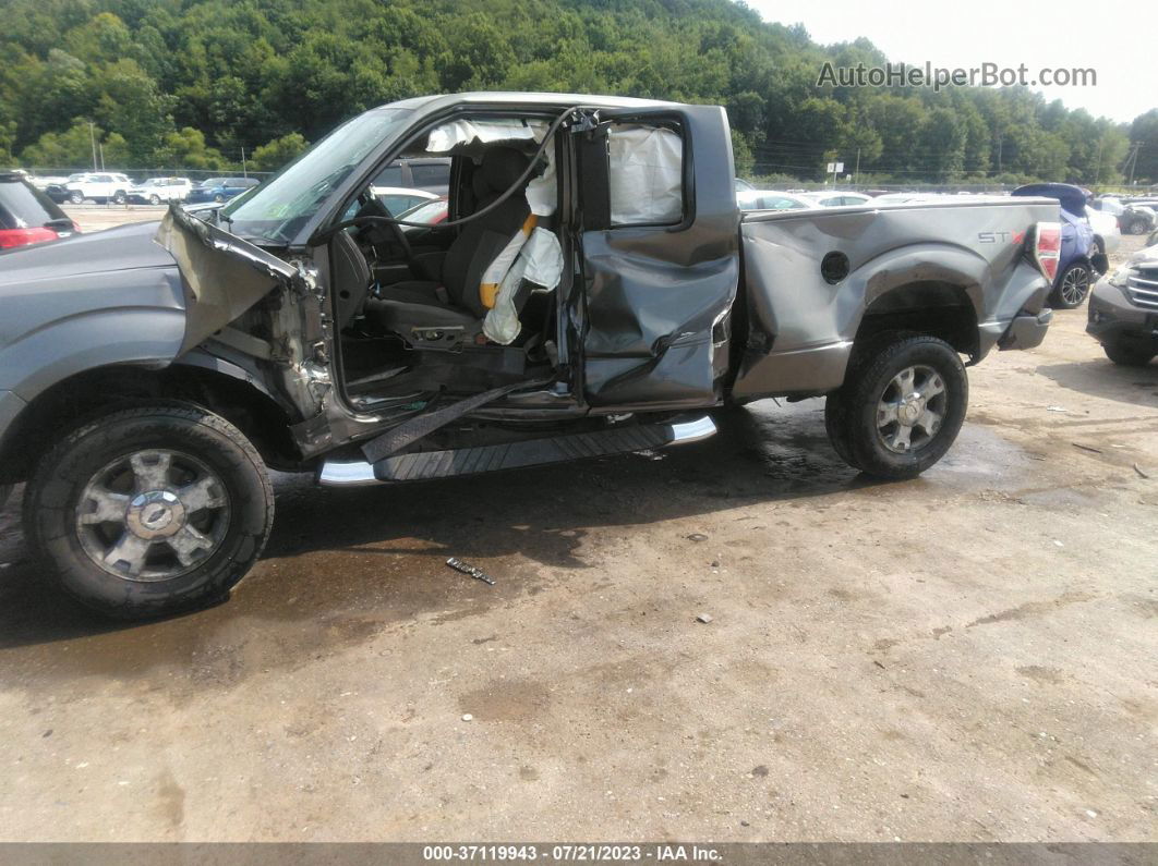 2010 Ford F-150 Stx Gray vin: 1FTEX1E8XAFA95946