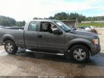 2010 Ford F-150 Stx Серый vin: 1FTEX1E8XAFA95946